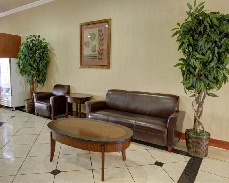 Comfort Suites Near Texas State University San Marcos Εξωτερικό φωτογραφία